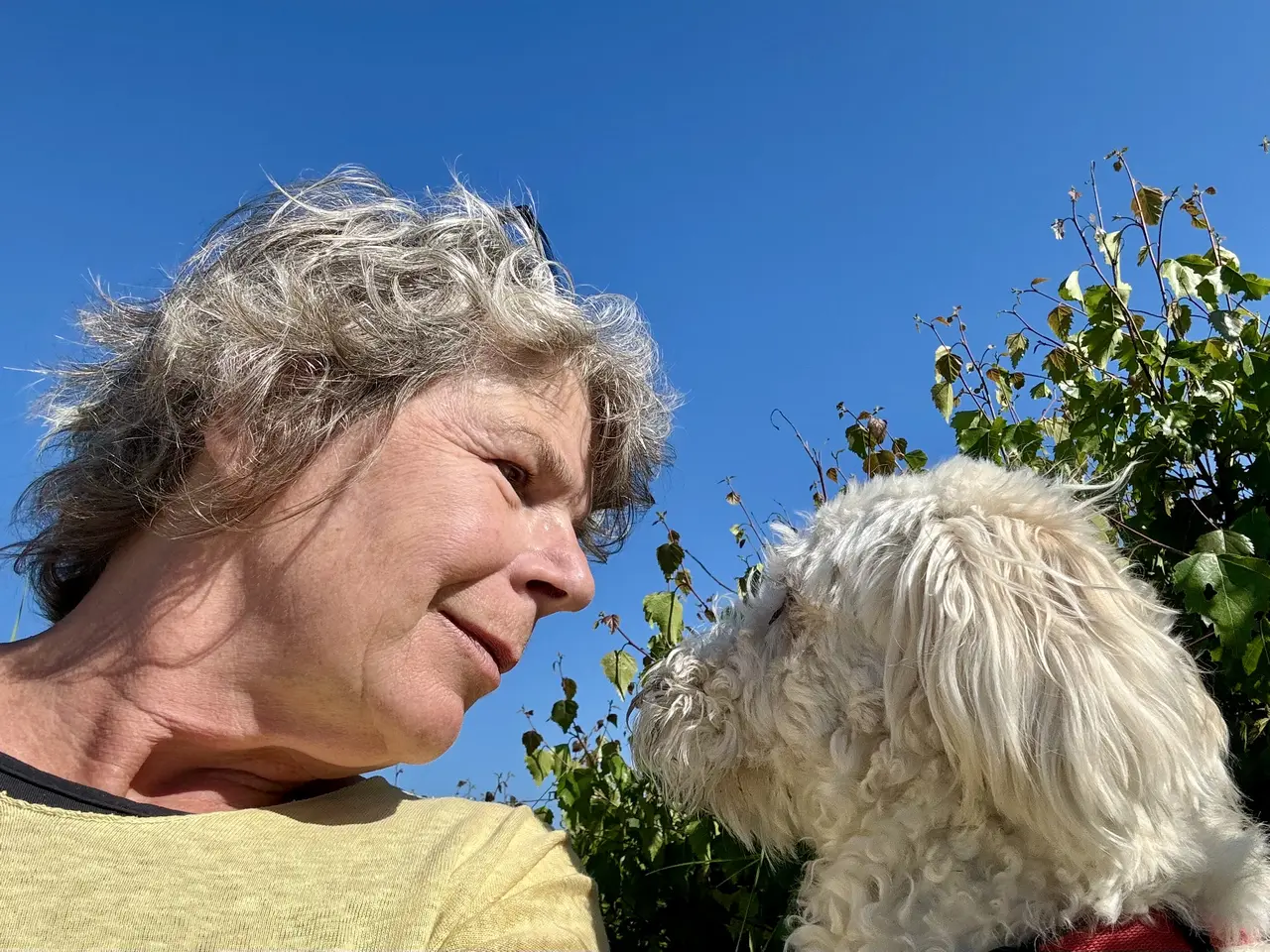 Conny und ihr Hund Kjala