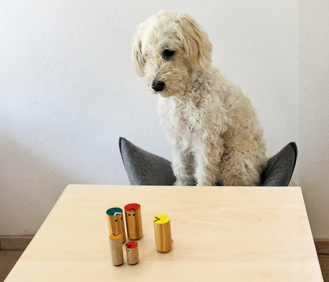 Hund sitz vor einem Brett mit mehreren bunten, abstrakten Holzfiguren