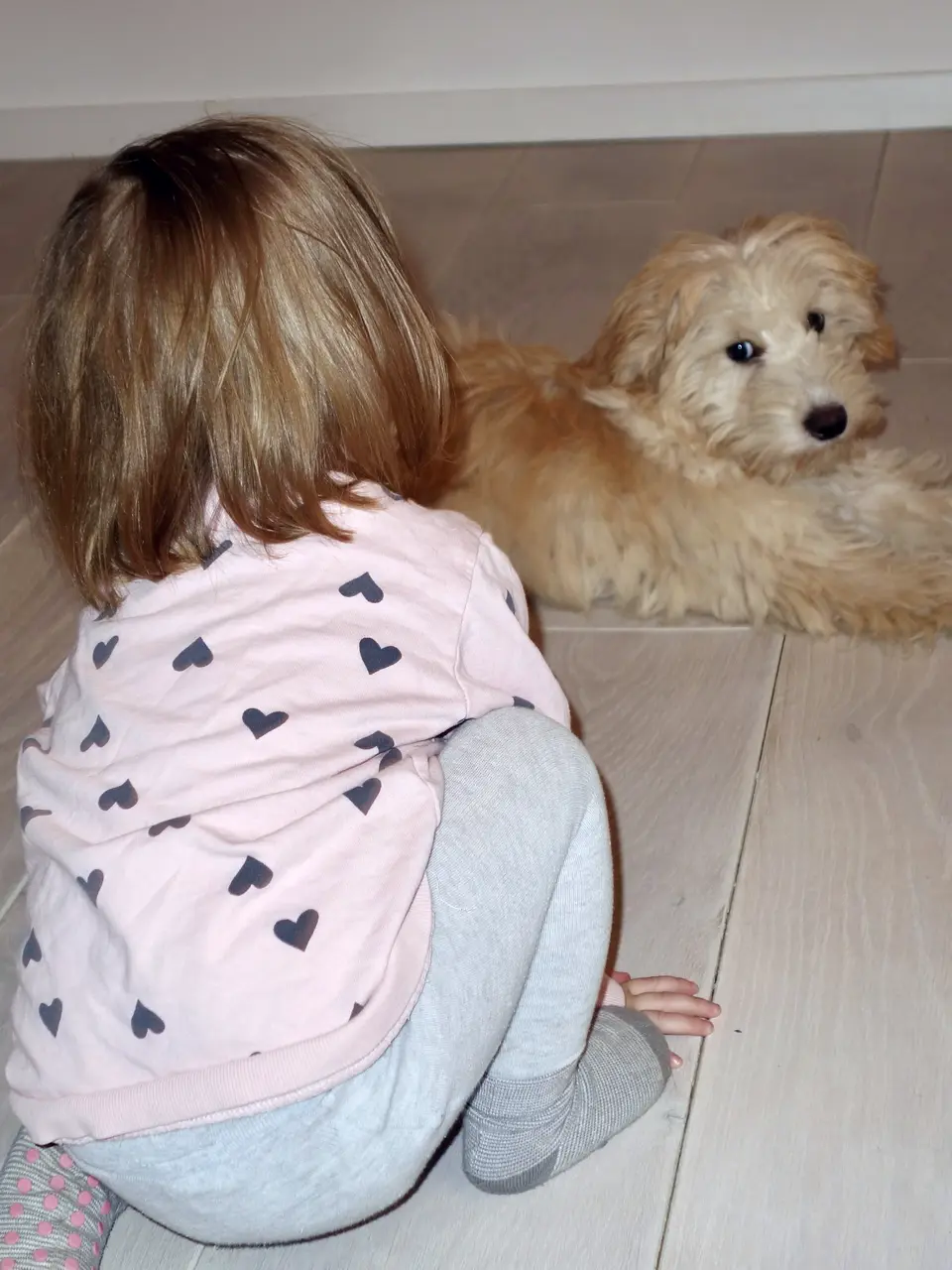 Therapiebegleithund und Kind