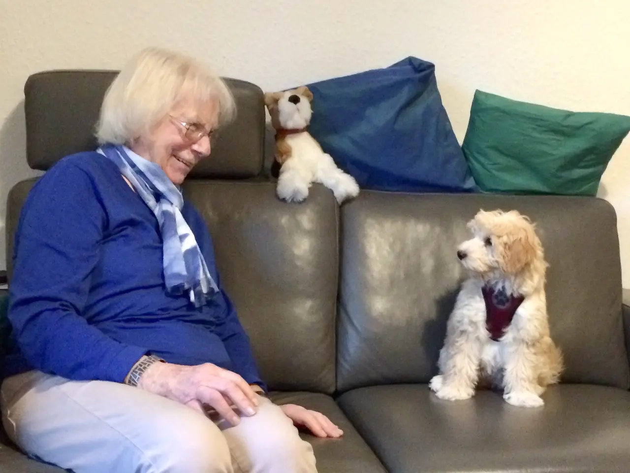 Hund und Seniorin gemeinsam auf einem Sofa